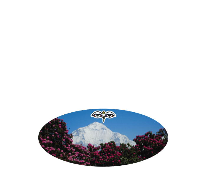 Pun Hill Himalayan Kitchen & Bar